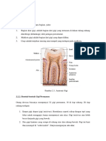 Anatomi Gigi Paper