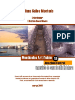 Machado 2005. Monticulos - Artificiais Amazonia - Central PDF