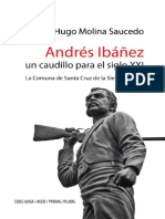 Andres Ibaniez