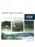 Coisas Que Mudam Dissertação Oppitz