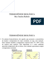 Termogenese