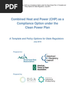 CHP Pathway Final Report 8-18-15