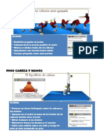 Fichas Habilidades Gimnásticas