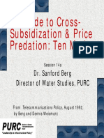 Guide to Cross- Subsidization & Price Predation_ Ten Myths