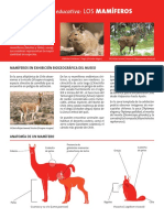 Mamiferos Museo de Historia Natural PDF