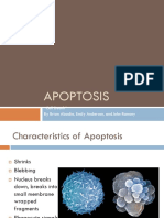 Apoptosis: "Cell Death" by Brian Abadie, Emily Anderson, Andjohn Ramsey