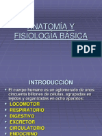 +introduccion Anatomía y Fisiología Básica