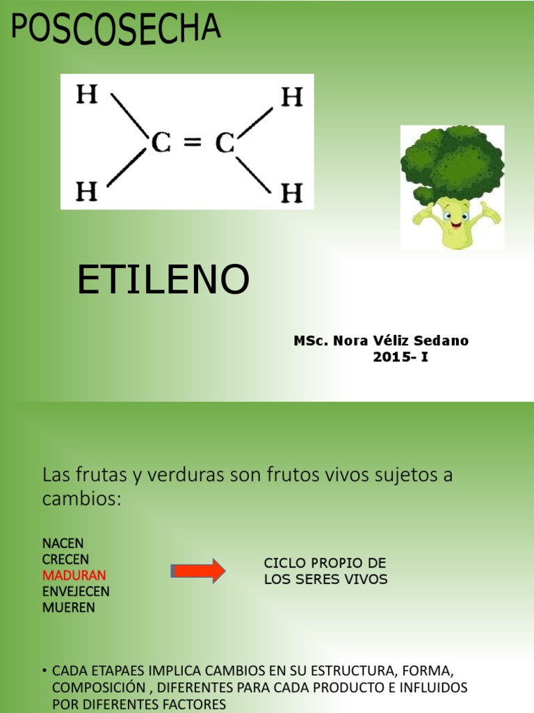 CLASE3 ETILENOffF | PDF | Etileno | Fruta