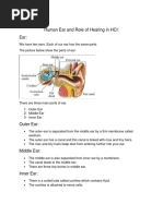 Human Ear and Role of Hearing in HCI -