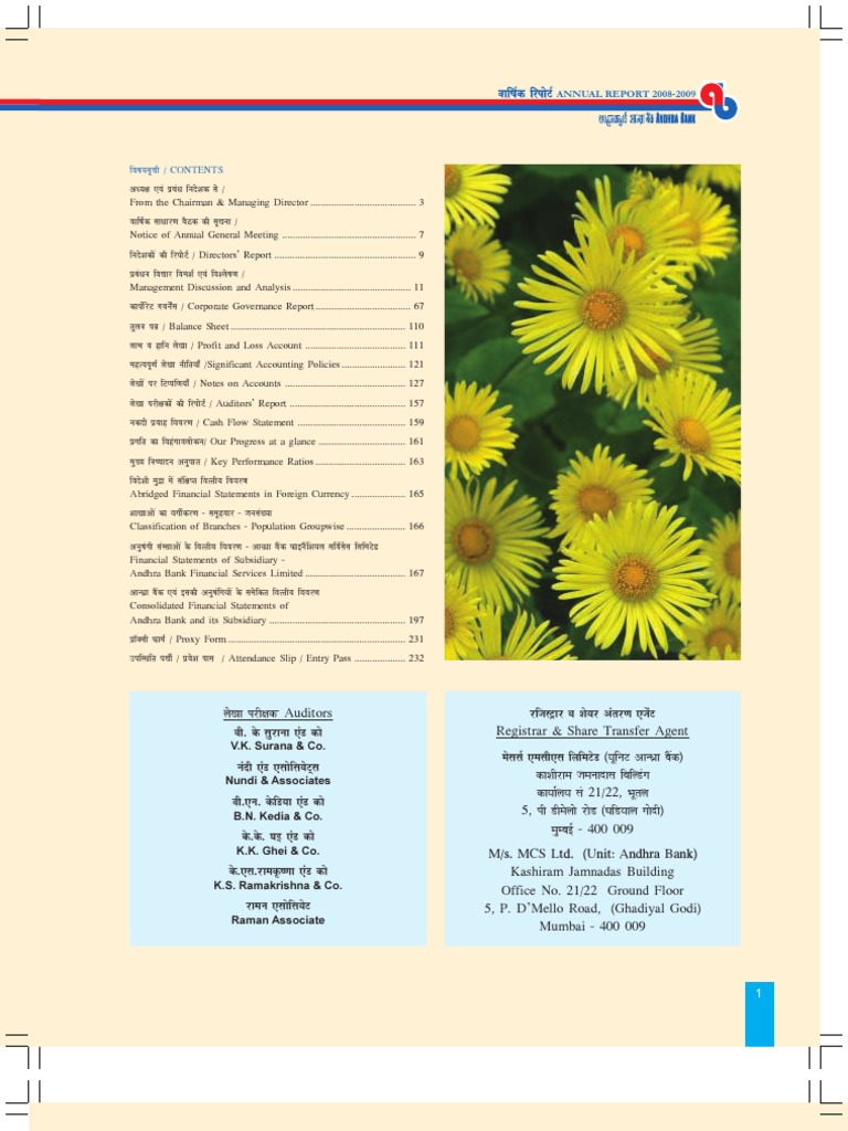 Ab Annual Report 09 Colour Final Client Approved 06 09 Vap Reserve Bank Of India Banks