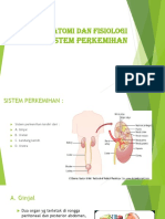 Anfis Urologi