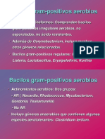 1bacilos Gram Positivos