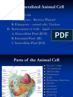 The Generalized Animal Cell