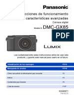GX80 Manual Avanzado Castellano