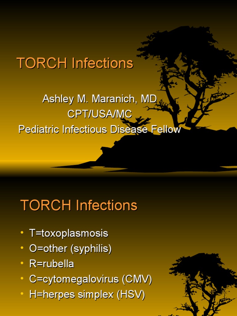 Torch Infection Ppt