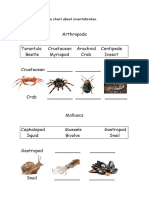 Complete The Chart About Invertebrates