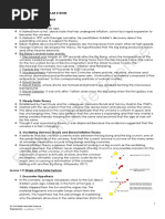 1st Quarter Handout ELS