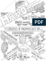 Macromolecules Sketch Notes