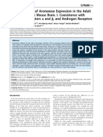 Aromatase Expression in The Brain Adult Mice