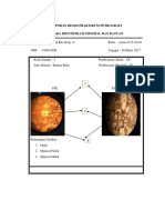 Laporan Resmi Praktikum Petrografi Acara 1