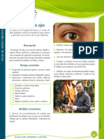 Cuidado de Los Ojos PDF
