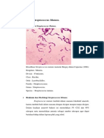 BAKTERI Streptococcus Mutans