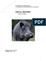 Porcul Mistret