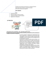 Módulo de Aprendizaneurologia.docx1