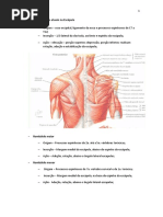 Apostila de ORIGEM E INSERÇÃO músculos