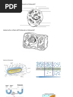 Tropical Ecology Kricher Pdf Merge