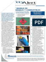 Flammable Storage Spanish PDF