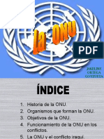 Onu 4053