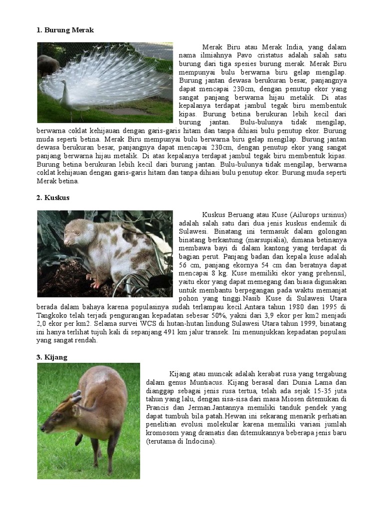 Tugas Artikel Binatang