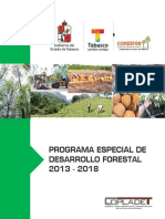 09_Programa_especial_df.pdf