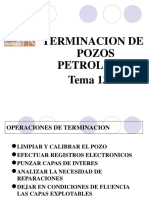 TEMA 13-1 - Terminacion.ppt