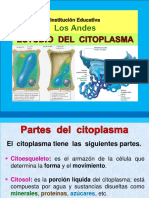 Cito Plasma