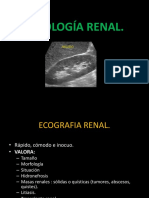 Ecográfica renal: hallazgos y patologías