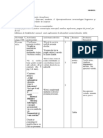 Proiect Pronumele