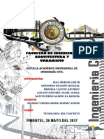 Informe de Patologías Del Concreto - Puerto Eten