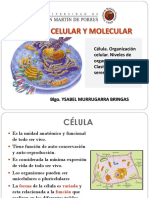 2°. Célula