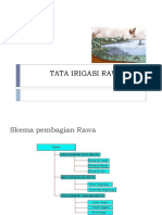 Tata Irigasi Rawa