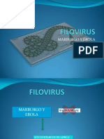 3filovirus-140105173126-phpapp02