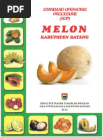 Melon iHidroponiki Melon iHidroponiki