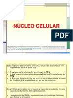 nucleo.pdf