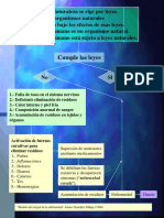 Modelo Origen de La Enfermedad Actualizado