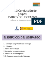 TEMA 3.conducción de Grupos - Estilos de Liderazgo