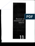 Capítulo 11 - Avaliação Da Importância Dos Impactos PDF