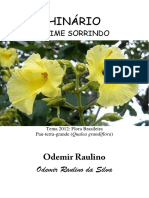 Odemir Raulino - Daime Sorrindo