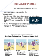 Transpor Aktif Primer