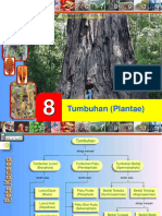 Buku X Bab 8 Tumbuhan (Plantae)